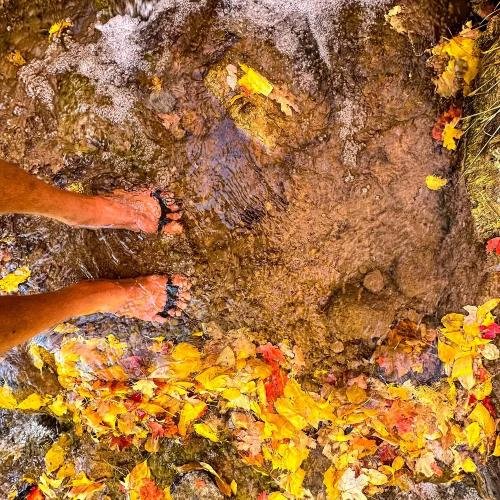 Restore Feet