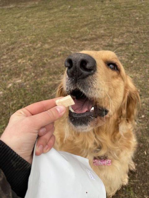 Chicken Breast Freeze Dried Treats