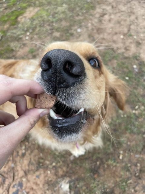 Chicken Liver Freeze Dried Treats