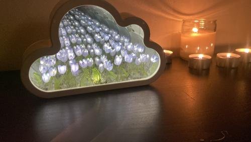 Infinite Petals Mirror