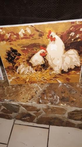 DIYArtCool™ Painting By Numbers - Chicken(16"x20" / 40x50cm)