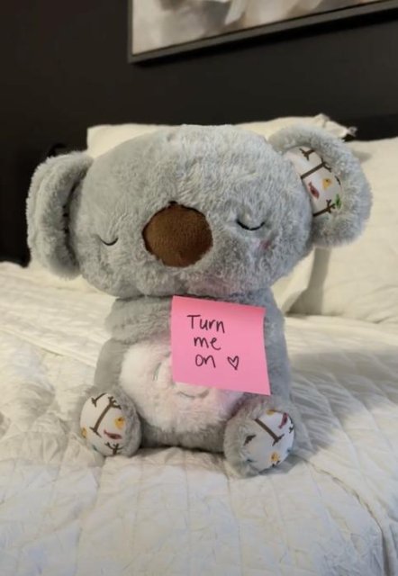 The Relief Koala: Stress-Reducing Plush with Heartbeat – Evora