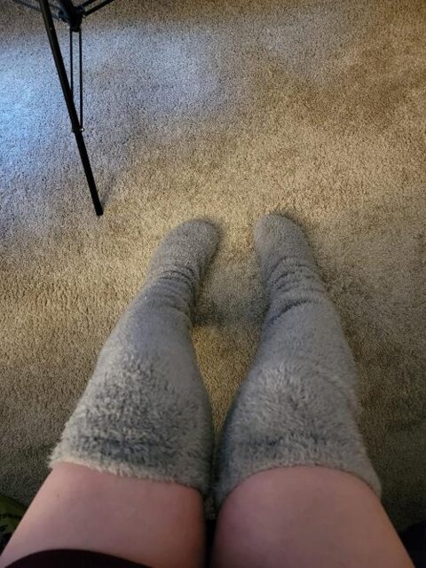 Paw Sock