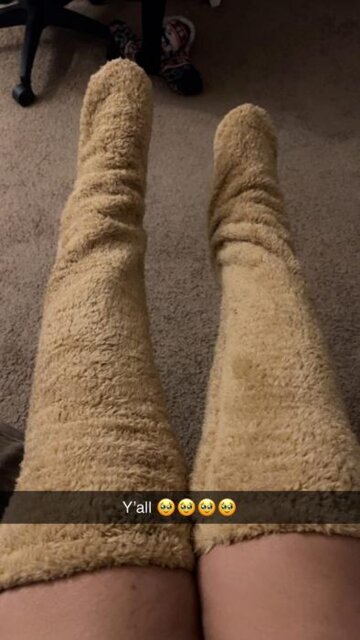Paw Sock