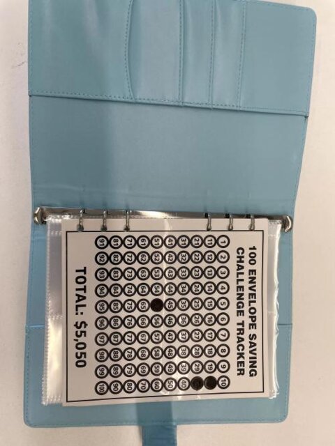 100 Envelope Challenge Binder-Easy And fun Way To Save $5,050