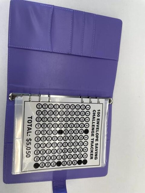 100 Envelope Challenge Binder-Easy And fun Way To Save $5,050