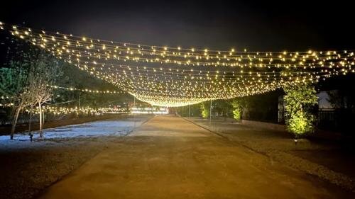Copper Wire Firecracker Light String