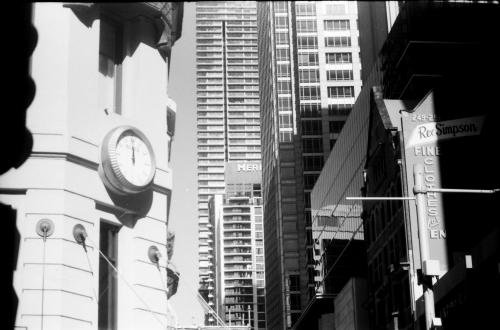 Ilford ID-11 Developer