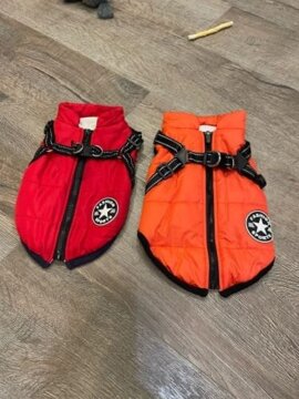 Dog Jacket With Harness review