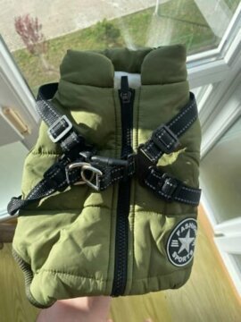 Dog Jacket With Harness review
