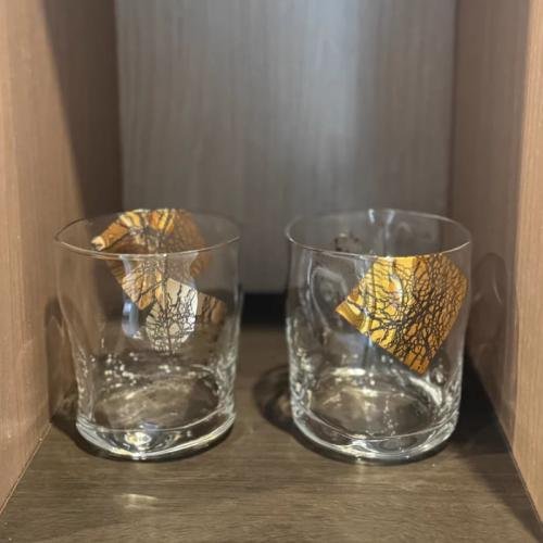 Aderia Kinrarin Whiskey Glass Set