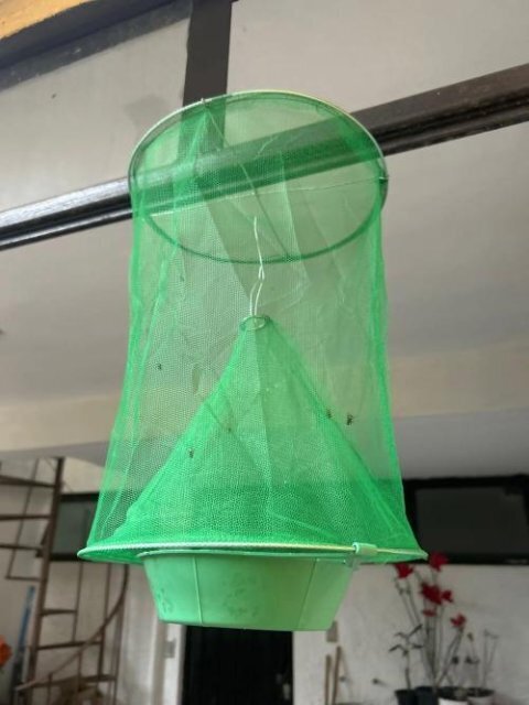 Royaleva Eco-Friendly Stable Fly Trap for Outdoor Use