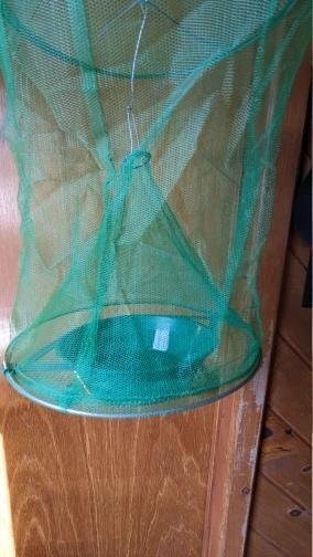 Royaleva Eco-Friendly Stable Fly Trap for Outdoor Use