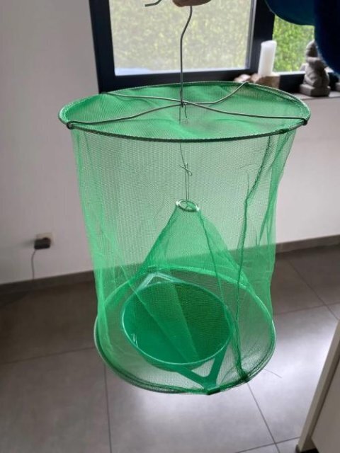 Royaleva Eco-Friendly Stable Fly Trap for Outdoor Use