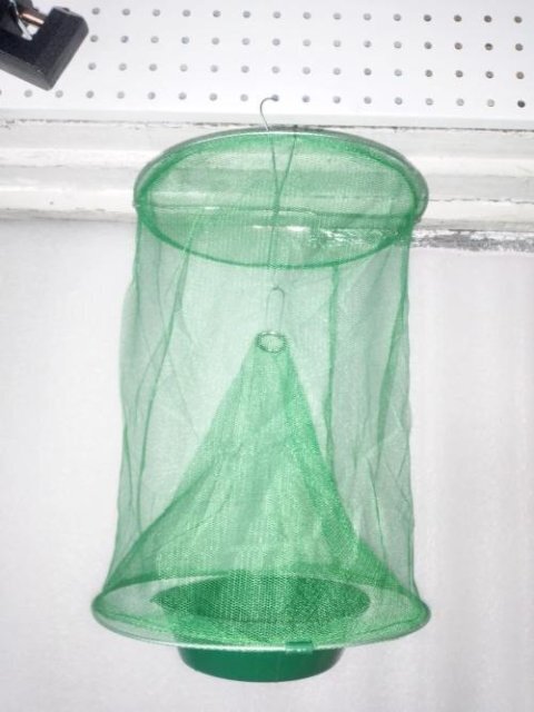 Royaleva Eco-Friendly Stable Fly Trap for Outdoor Use