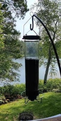 Luxora Squirrel Proof Bird Feeder with Multi-Feeding Ports