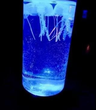 RoyaleGlow Jellyfish LED Lamp & Aquarium for Relaxation