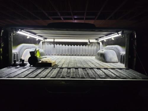 RoyaleGlow Cargo Pickup Truck Truck Bed Lights 60 Inch Strip