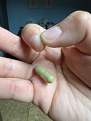 Mindora Moringa