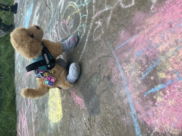 ESSA UK customer photo review by Nancy Murphy