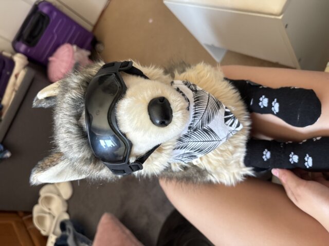 ESSA UK customer photo review by Hollie gibson