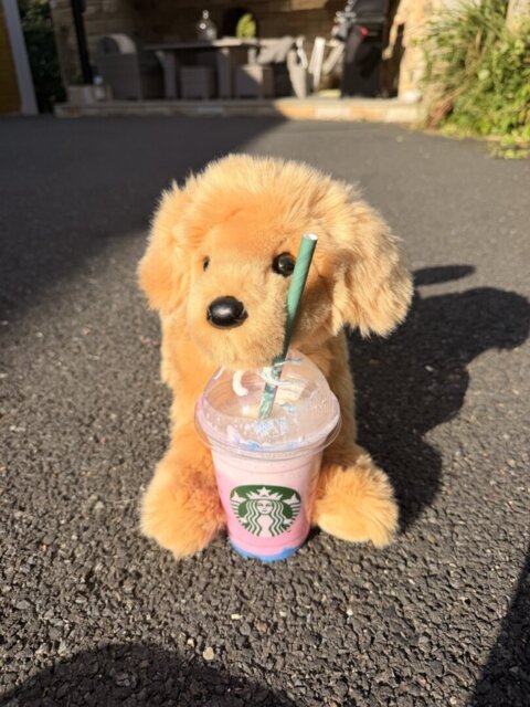 Customer photo by Bonnie