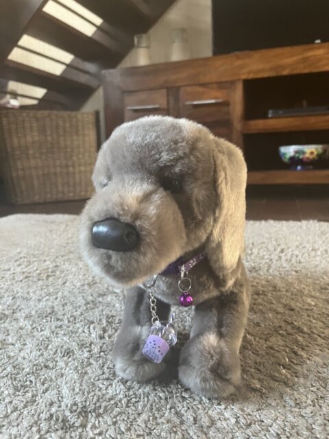 Customer photo by Lynn Keir