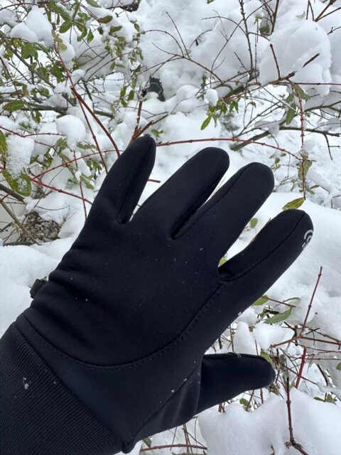 Vorexilglow Thermo Gloves review